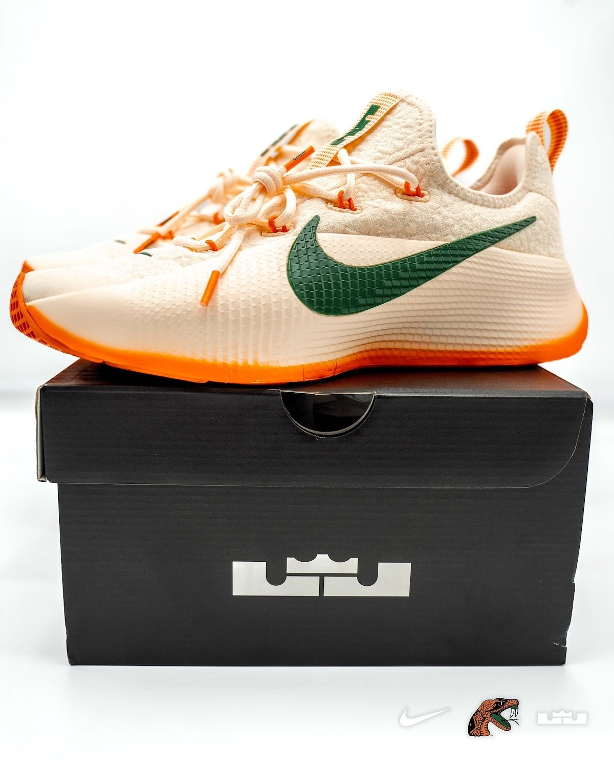 Nike LeBron TR 1, Nike, LeBron James - 耐克 LeBron TR 1 "FAMU" PE