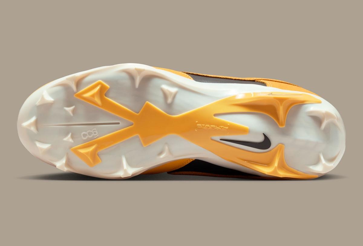 "艾奧瓦 "色彩激發耐克 Alpha Menace 扣籃鞋的靈感 Nike Dunk Low, Nike Alpha Menace, Nike - "艾奧瓦 "色彩激發耐克 Alpha Menace 扣籃鞋的靈感