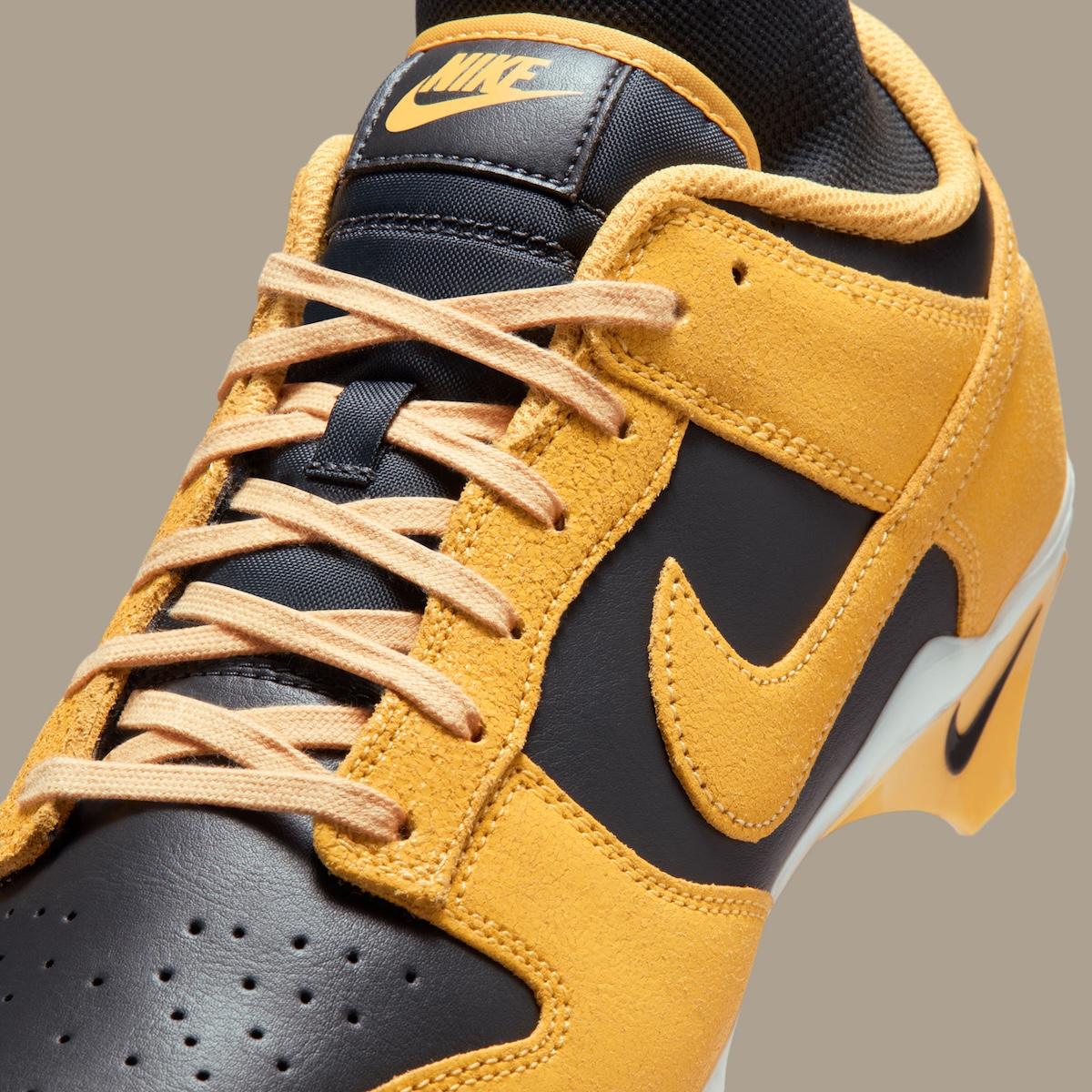 "艾奧瓦 "色彩激發耐克 Alpha Menace 扣籃鞋的靈感 Nike Dunk Low, Nike Alpha Menace, Nike - "艾奧瓦 "色彩激發耐克 Alpha Menace 扣籃鞋的靈感