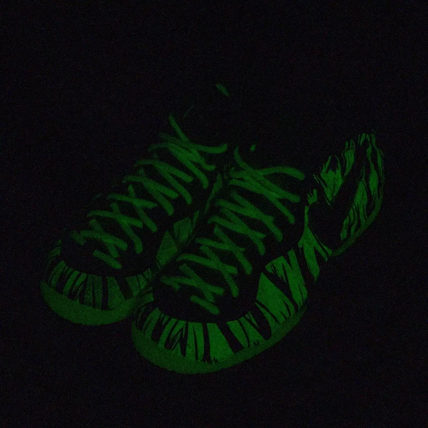 Oregon Ducks, Nike Air Foamposite Pro, Nike - 俄勒岡鴨隊發佈耐克 Air Foamposite Pro "木乃伊鴨 "PE