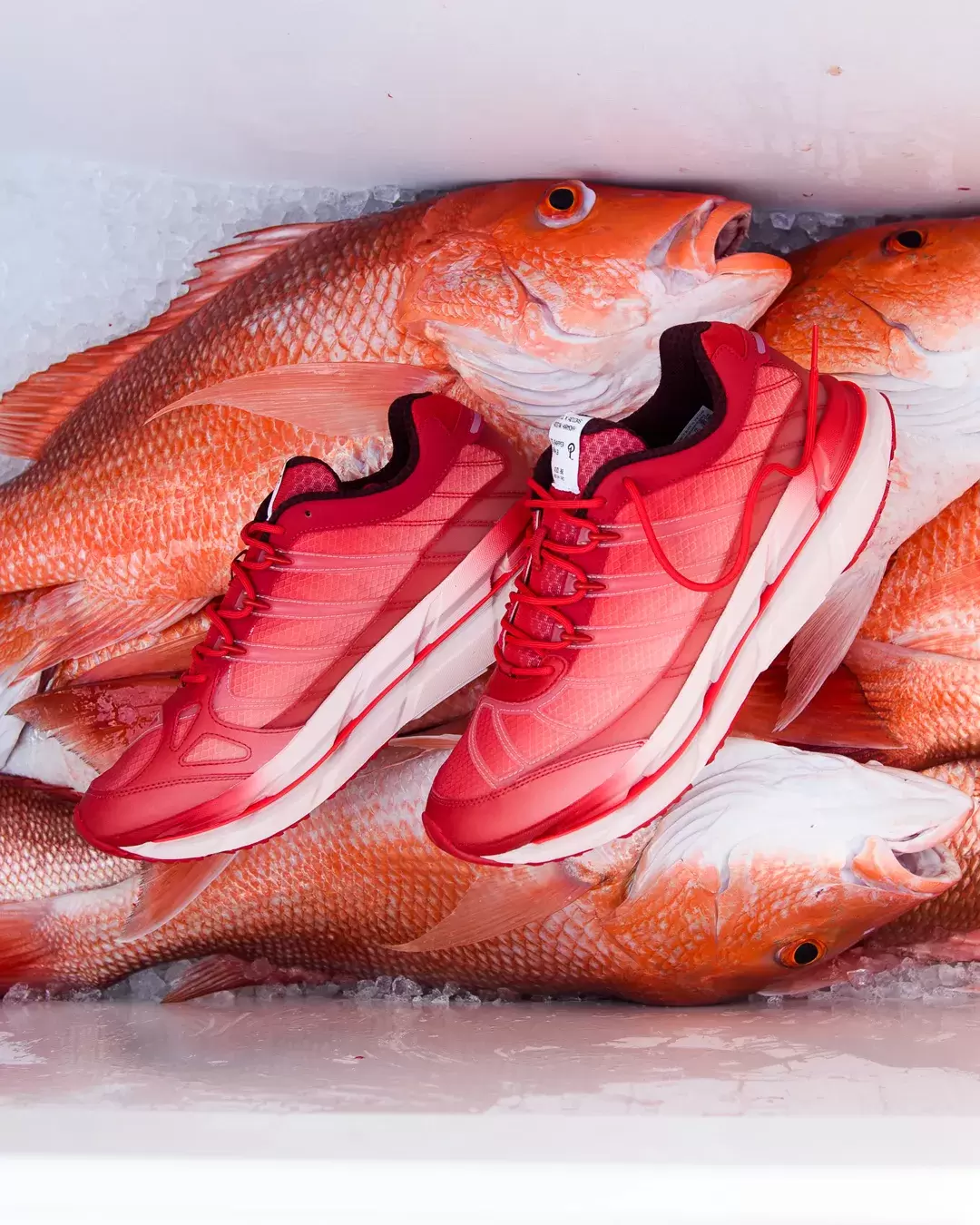 Sneaker Politics, adidas Adistar Hrmy, adidas - Sneaker Politics x adidas Adistar HRMY "Red Snapper" 11 月 22 日發售