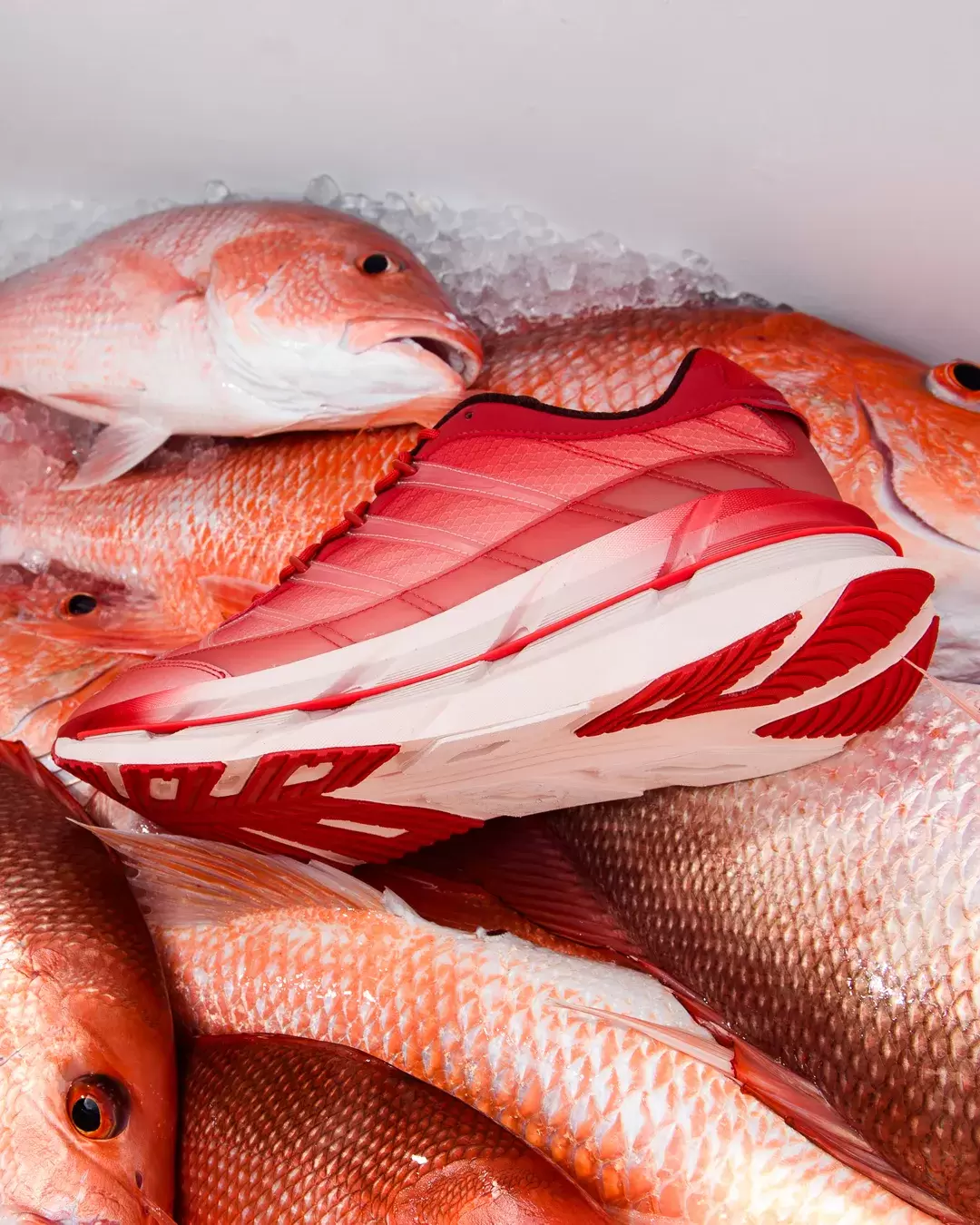 Sneaker Politics, adidas Adistar Hrmy, adidas - Sneaker Politics x adidas Adistar HRMY "Red Snapper" 11 月 22 日發售