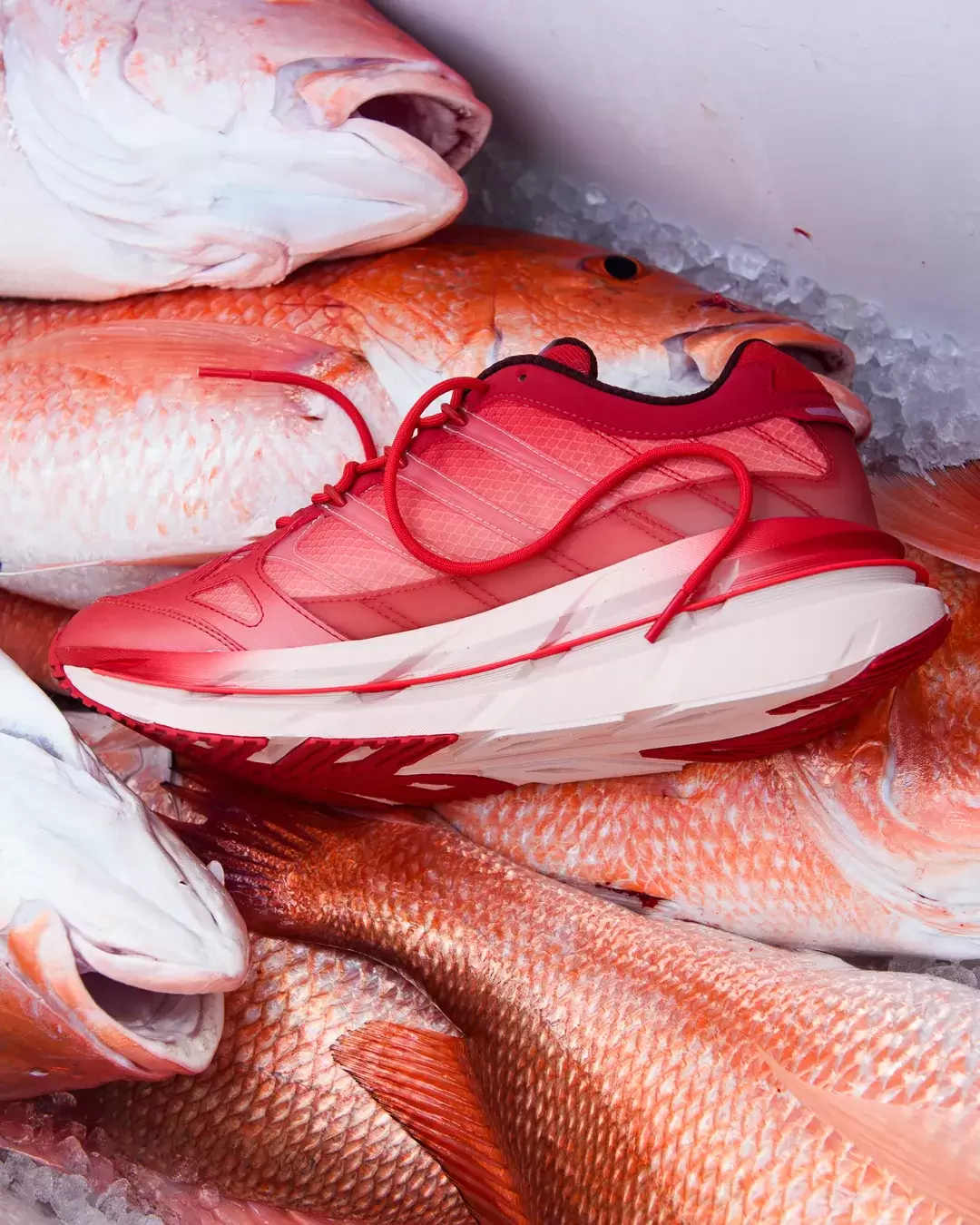 Sneaker Politics, adidas Adistar Hrmy, adidas - Sneaker Politics x adidas Adistar HRMY "Red Snapper" 11 月 22 日發售