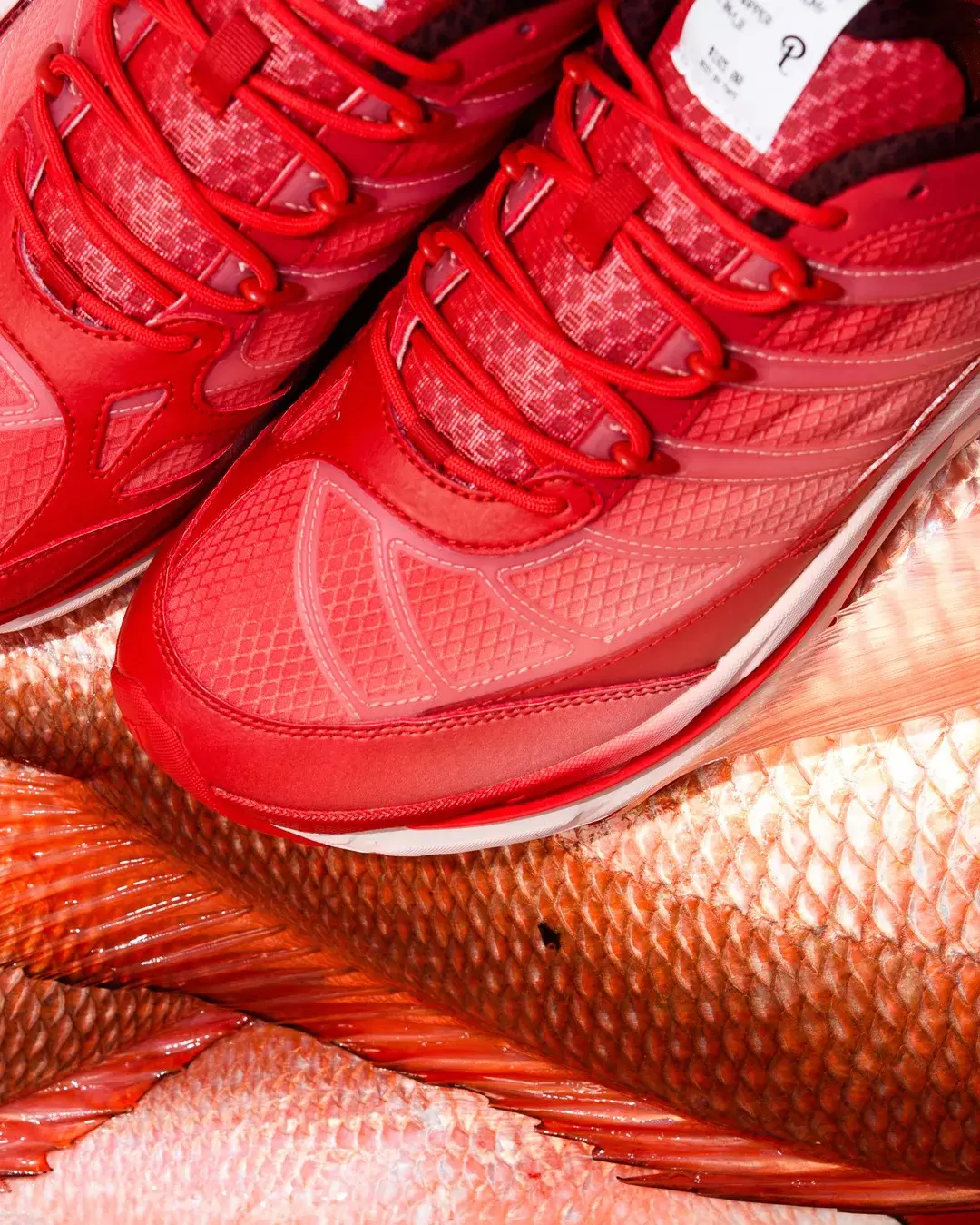Sneaker Politics, adidas Adistar Hrmy, adidas - Sneaker Politics x adidas Adistar HRMY "Red Snapper" 11 月 22 日發售
