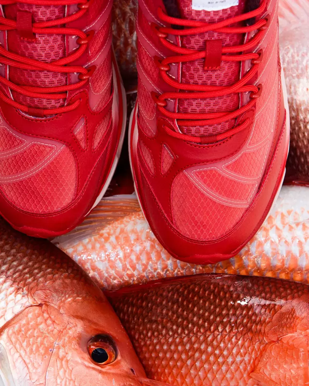 Sneaker Politics, adidas Adistar Hrmy, adidas - Sneaker Politics x adidas Adistar HRMY "Red Snapper" 11 月 22 日發售
