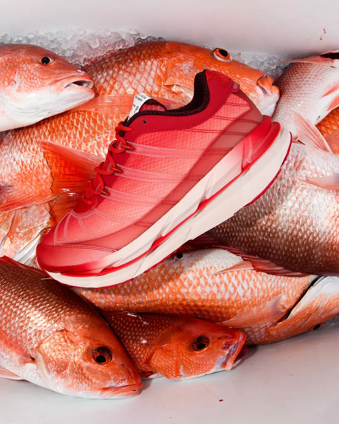 Sneaker Politics, adidas Adistar Hrmy, adidas - Sneaker Politics x adidas Adistar HRMY "Red Snapper" 11 月 22 日發售