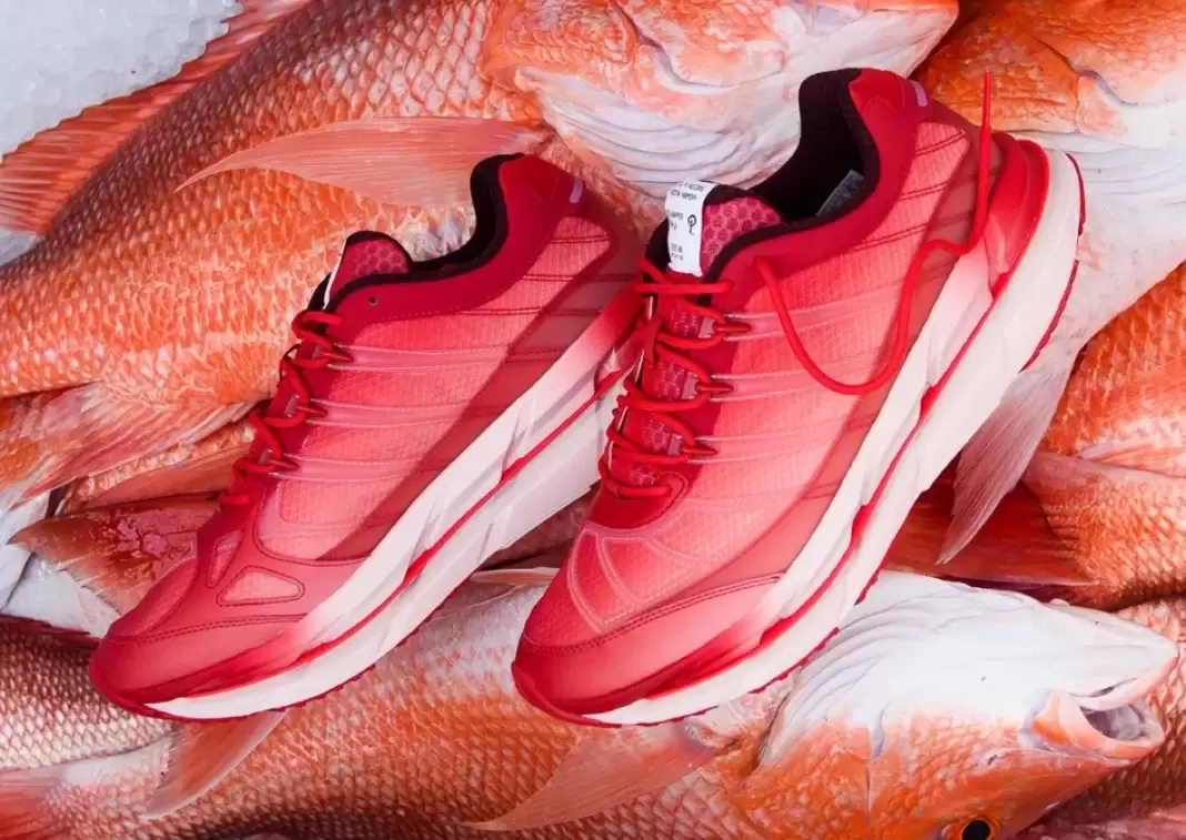 Sneaker Politics, adidas Adistar Hrmy, adidas - Sneaker Politics x adidas Adistar HRMY "Red Snapper" 11 月 22 日發售