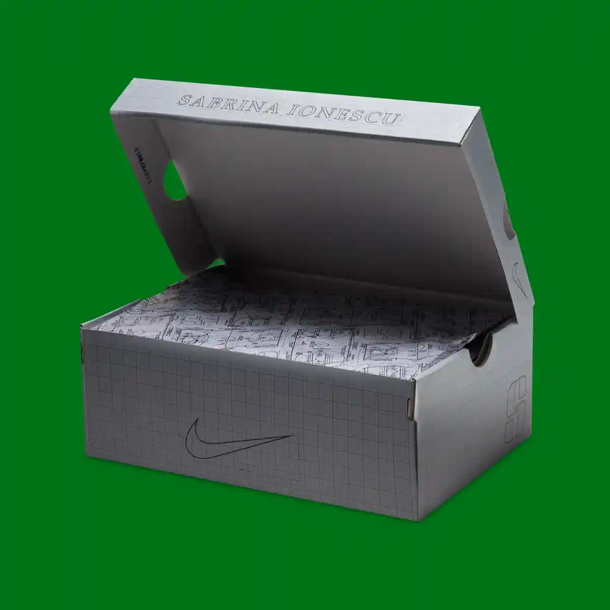 耐克 Sabrina 3 "俄勒岡鴨 "2026 年 3 月發佈 Oregon Ducks, Nike Sabrina 3, Nike, NBA - 耐克 Sabrina 3 "俄勒岡鴨 "2026 年 3 月發佈