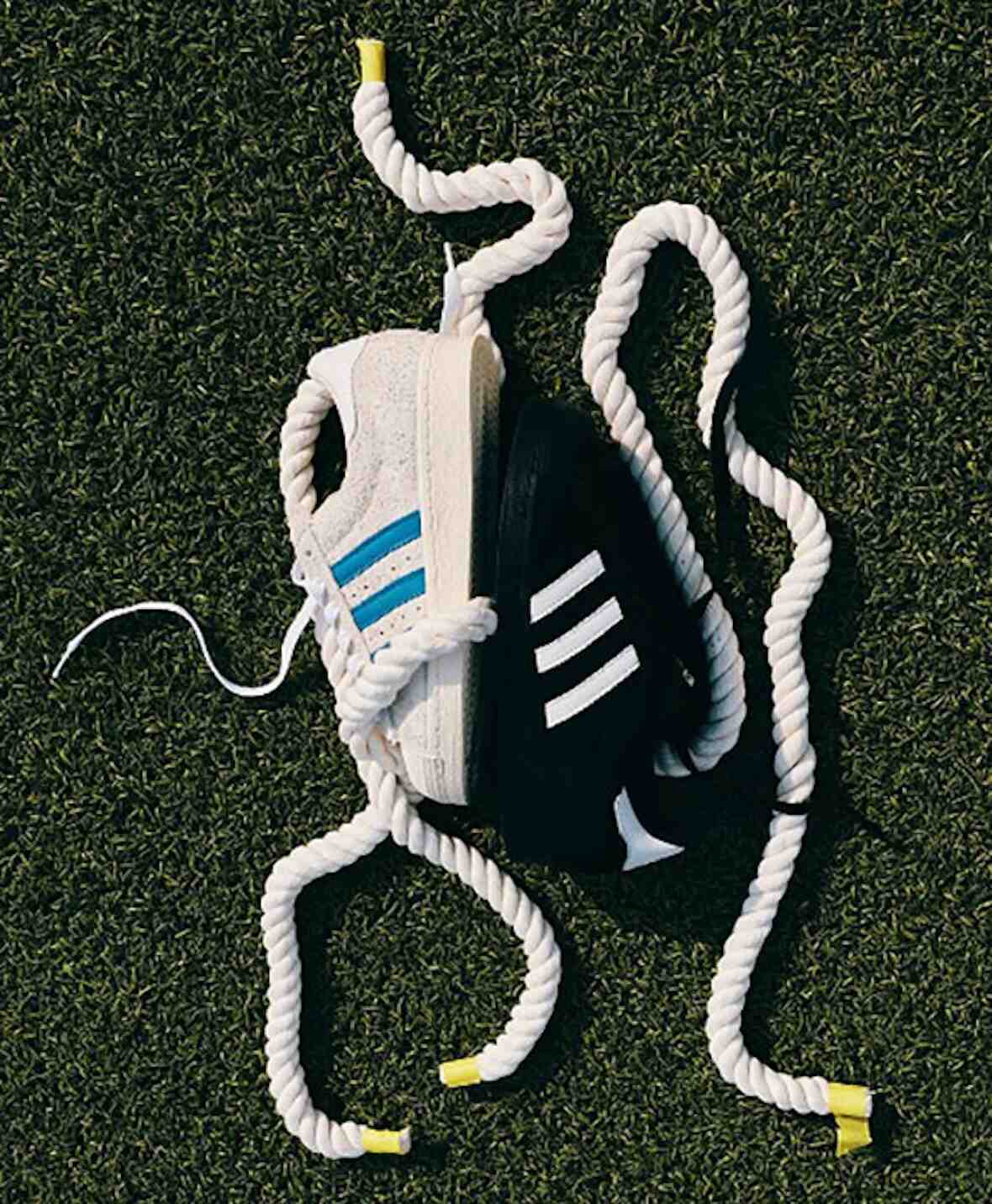 卡西納與兩位阿迪達斯超級巨星重振學校運動會精神 Kasina, adidas superstar, adidas - 卡西納與兩位阿迪達斯超級巨星重振學校運動會精神