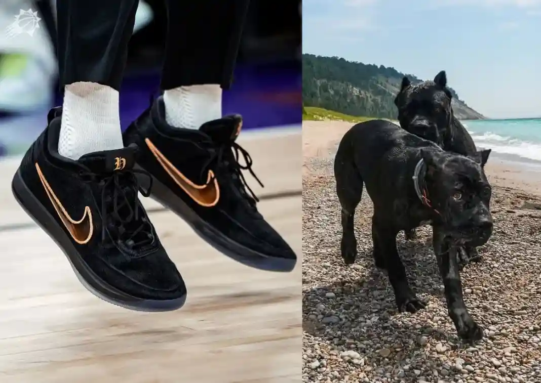 Nike Book 2, Nike, Devin Booker - 耐克第二部《海文與赫克托》2026 年 5 月發佈